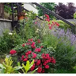 Ingrid's Spittal Appartamento Spittal an der Drau