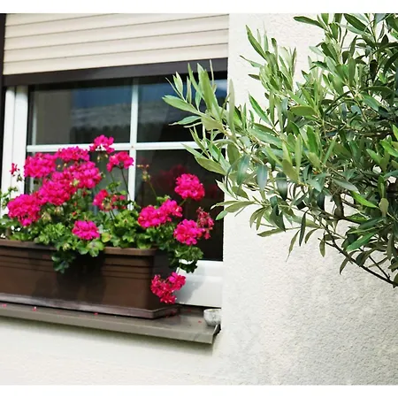 Apartament Ingrid's Spittal