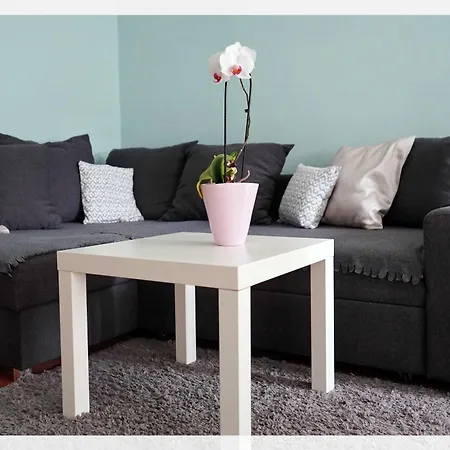 Ingrid's Spittal Daire