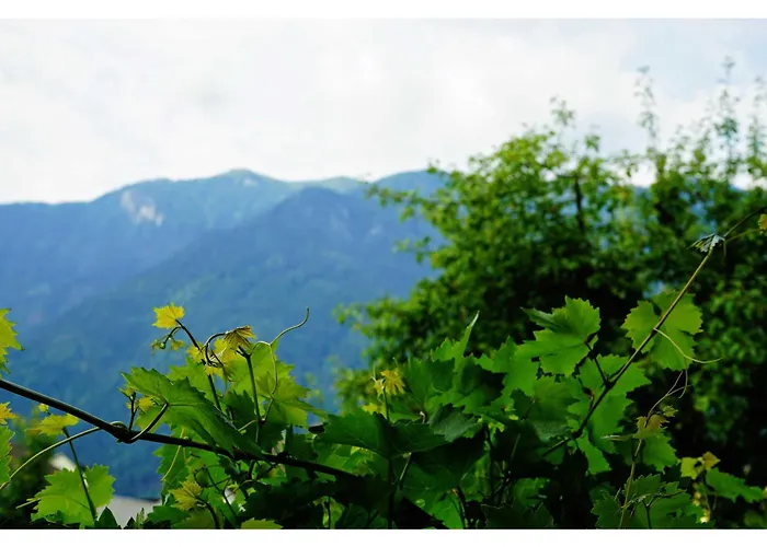 Apartament Ingrid's Spittal *