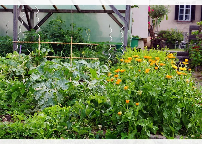 Apartament Ingrid's Spittal