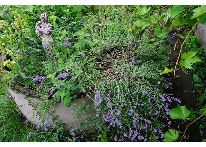 Ingrid's Spittal Spittal an der Drau